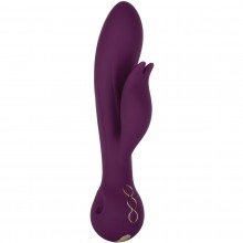Вибратор-кролик «Obsession Desire», цвет фиолетовый, California Exotic Novelties SE-4385-15-3, бренд CalExotics, длина 22.25 см., со скидкой